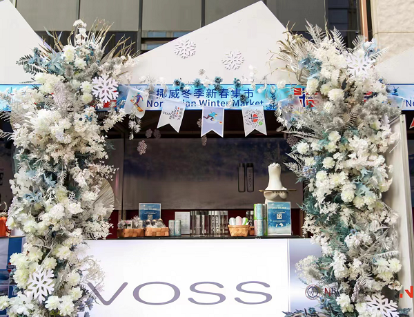 ۶м VOSS